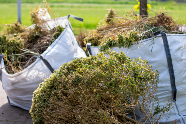  Georgetown, IL Junk Removal Pros